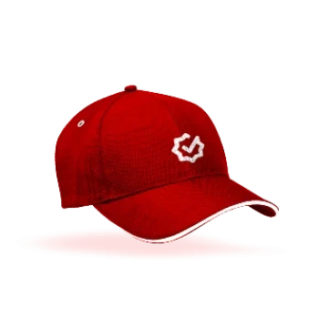 Topi